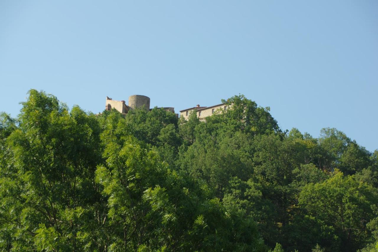 Tres Vents Del Roser - Grand Appartement Prats-de-Mollo-la-Preste Dış mekan fotoğraf